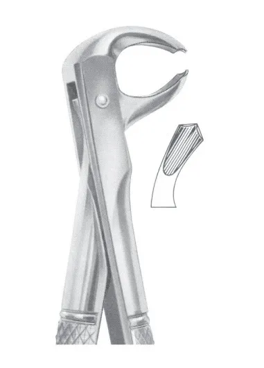 Fig. 73R lower molars right 